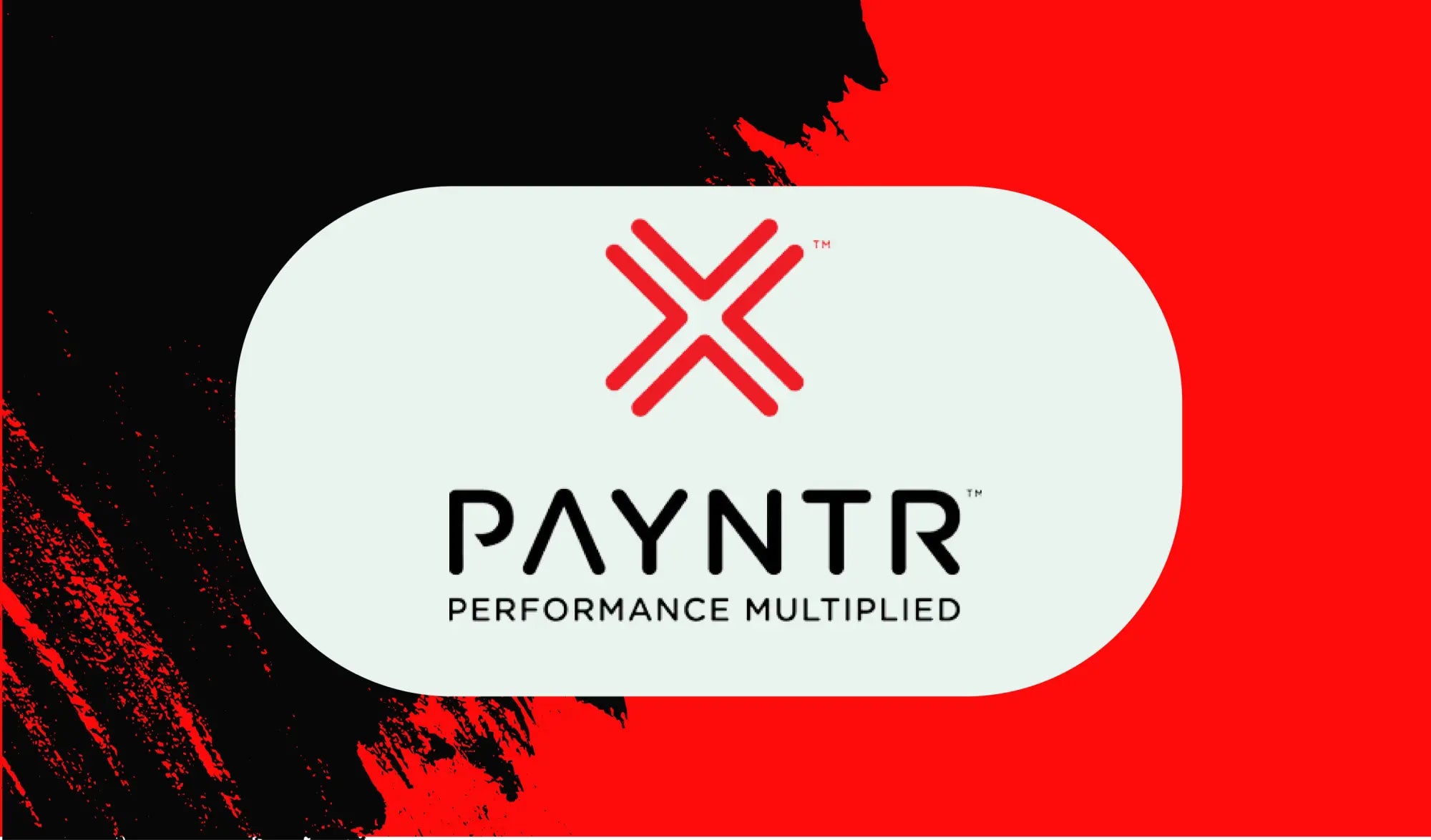 Brand Payntr