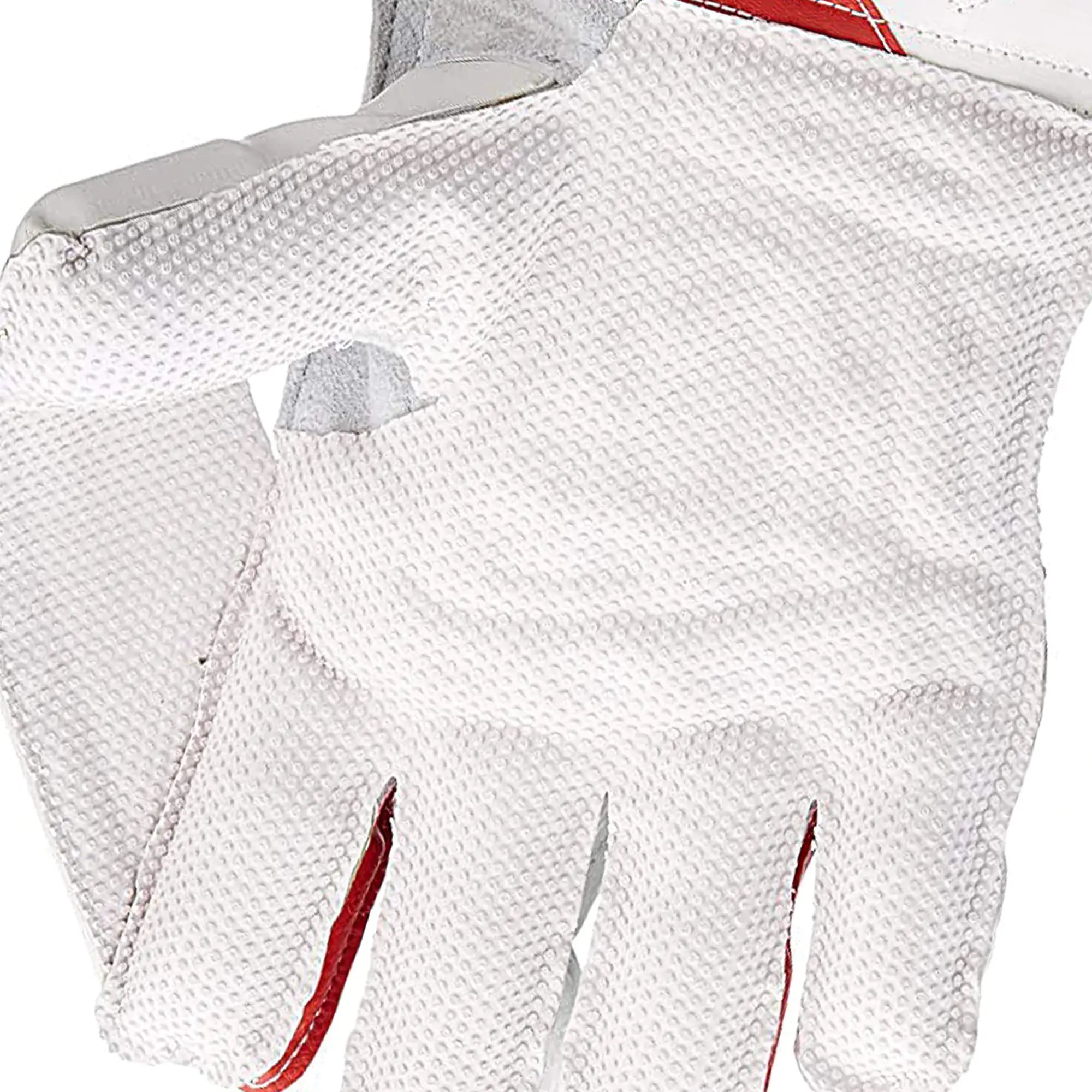 SG Wicket Keeping Gloves - RSD Prolite - GLOVE - WICKET KEEPING